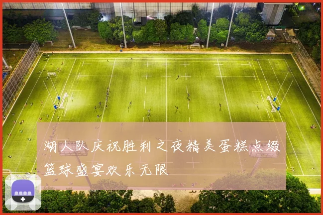 湖人队庆祝胜利之夜精美蛋糕点缀篮球盛宴欢乐无限