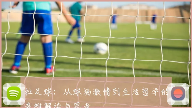 扯足球：从球场激情到生活哲学的多维解读与思考